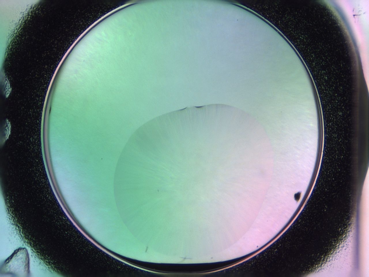 01gi_C11_ImagerDefaults_0.jpg