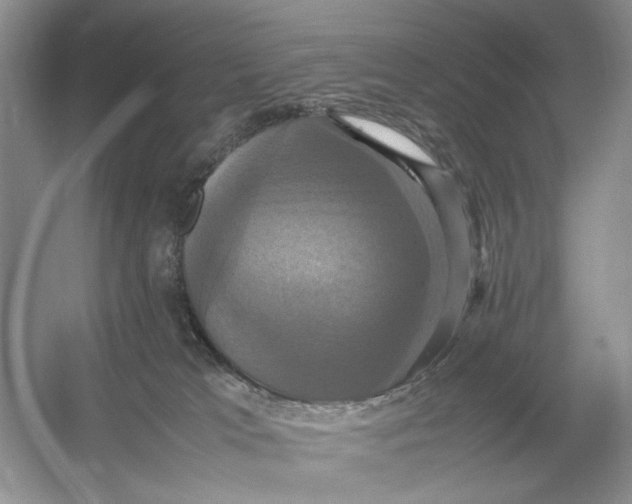 X0000054350037200508190140.png