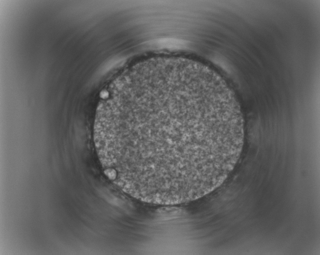 X0000053461112200508112150.png