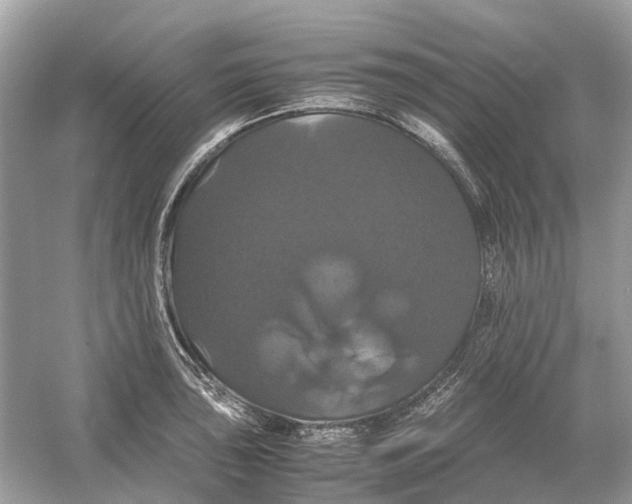 X0000054351043200508190123.png