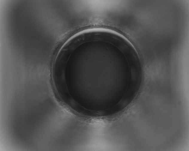 X0000054730442200508171856.png