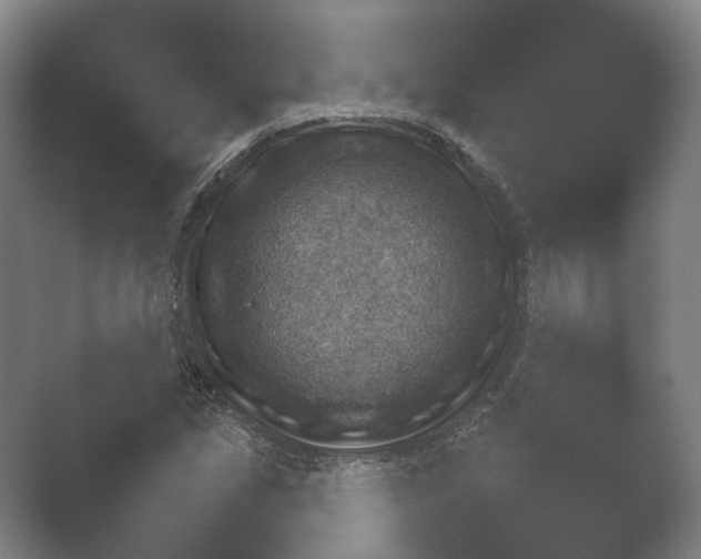 X0000052281213200507132020.png