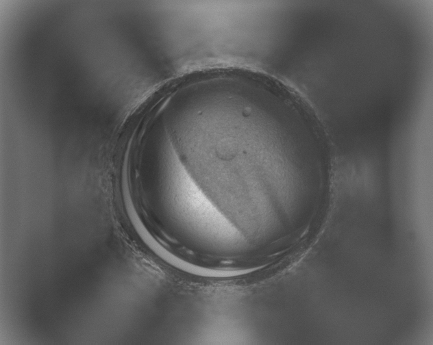 X0000052280921200507132024.png