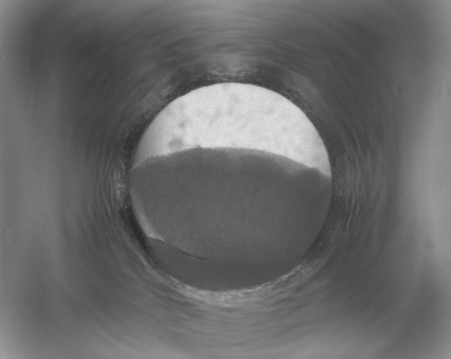 X0000054350040200508190140.png