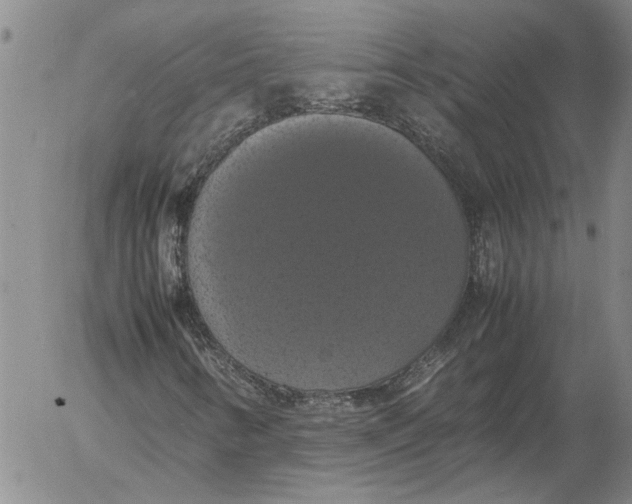 X0000054171346200508101749.png