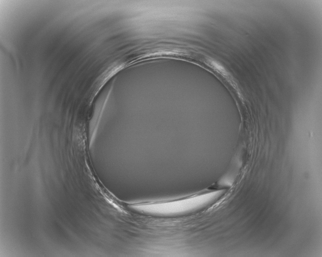 X0000054351377200508190117.png