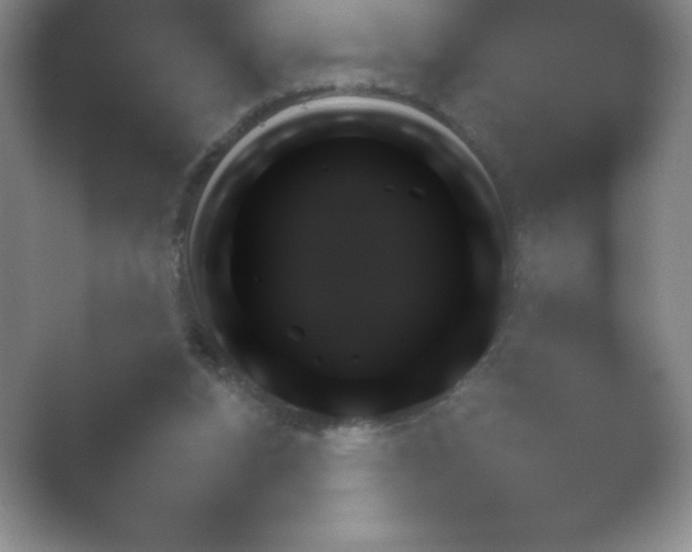 X0000054730160200508171901.png