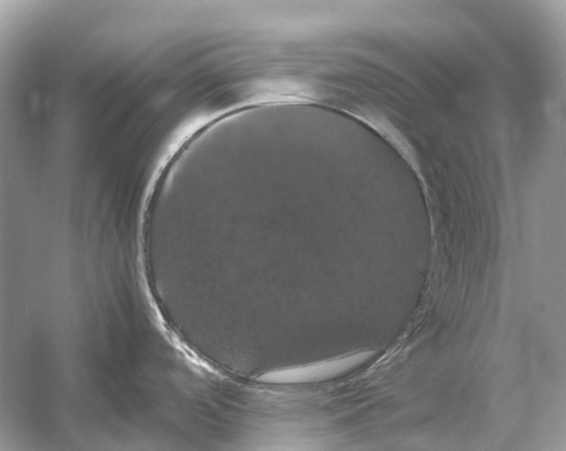 X0000054351488200508190115.png