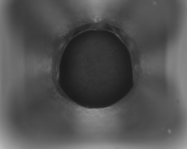 X0000054730030200508171903.png