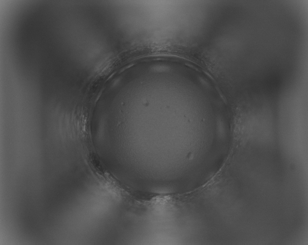 X0000051540124200506281749.png