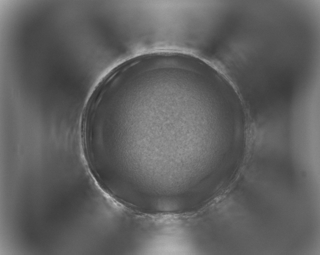 X0000052151006200507051946.png