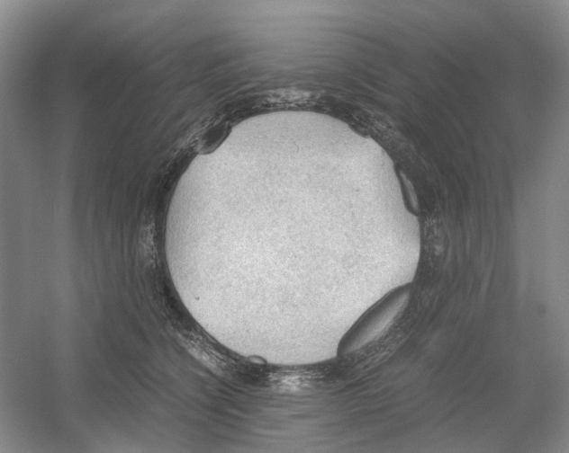 X0000054270564200508261919.png