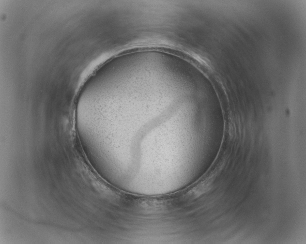 X0000054651366200508091631.png