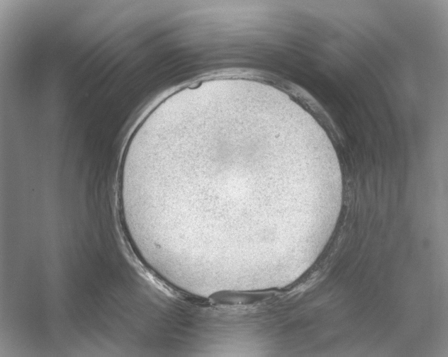 X0000054270860200508261914.png
