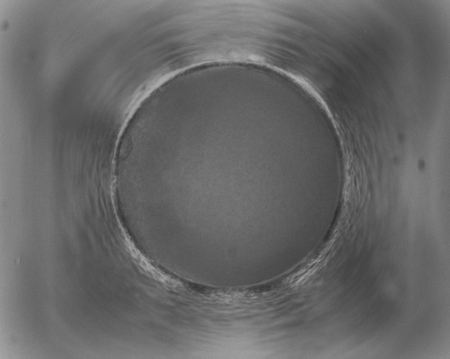 X0000054170895200508101756.png