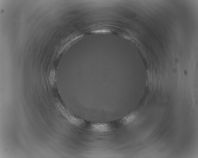 X0000054170189200508101809.png