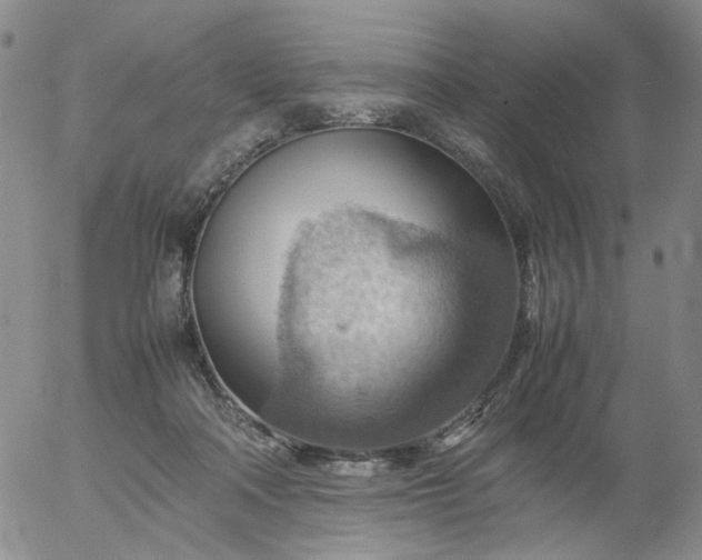 X0000054650314200508091648.png
