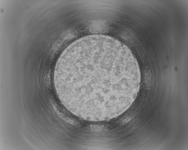 X0000054580690200508300101.png