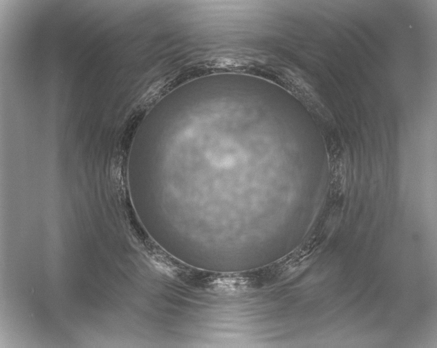 X0000054300415200508042315.png