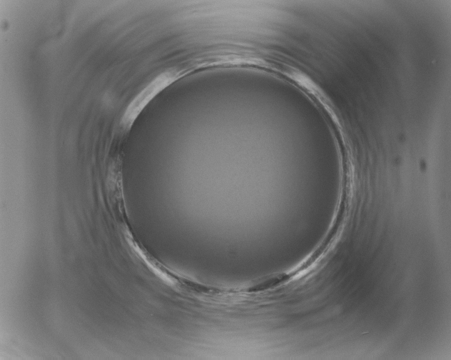 X0000054171385200508101748.png