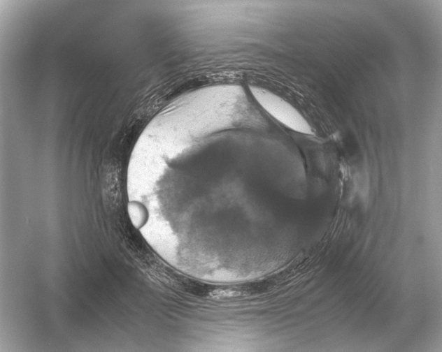X0000054350699200508190128.png