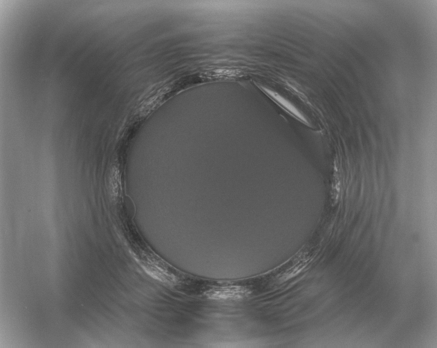 X0000054350459200508190133.png