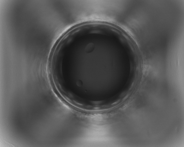 X0000054731293200508171842.png
