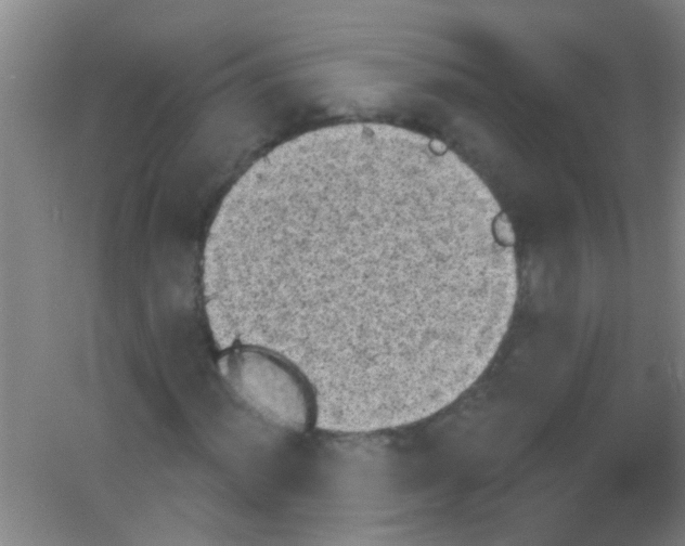 X0000053461012200508112151.png
