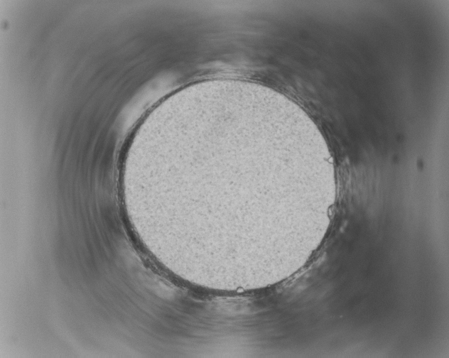 X0000054580150200508300109.png