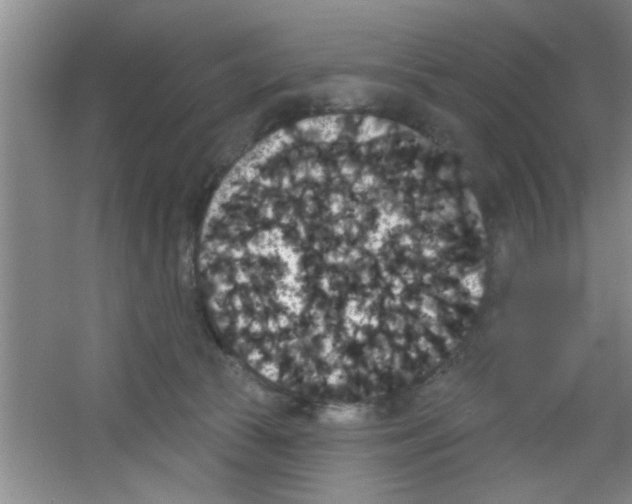 X0000053460177200508112207.png