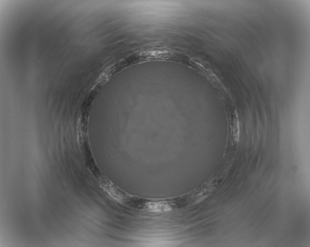 X0000054350520200508190131.png