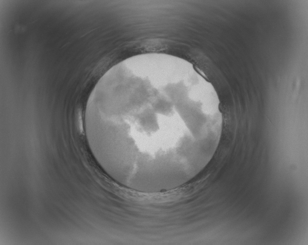 X0000055250046200509071627.png