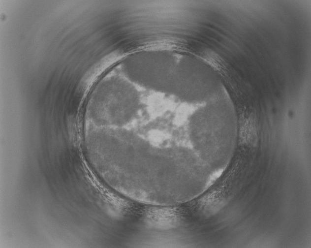 X0000054581086200508300054.png
