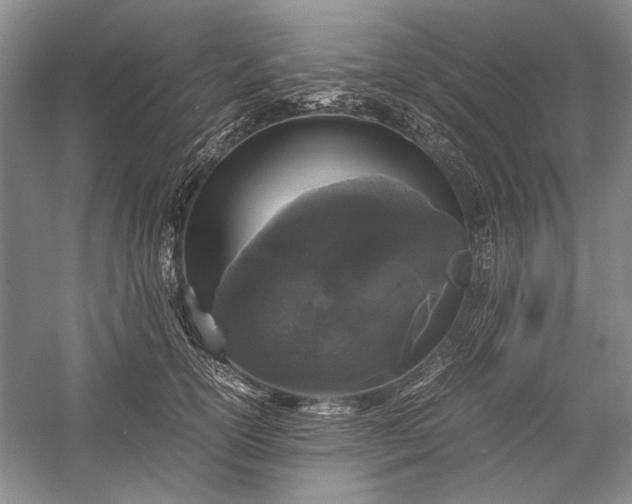 X0000055060754200508161645.png