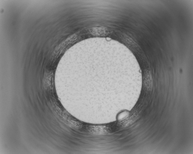 X0000054580233200508300109.png