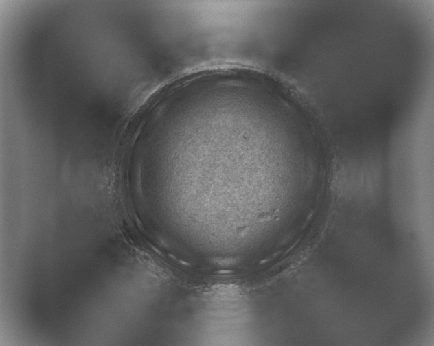 X0000052281313200507132018.png