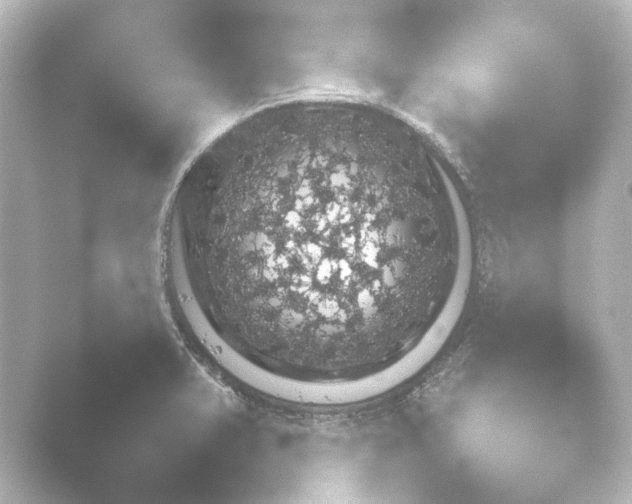 X0000048331375200503311908.png
