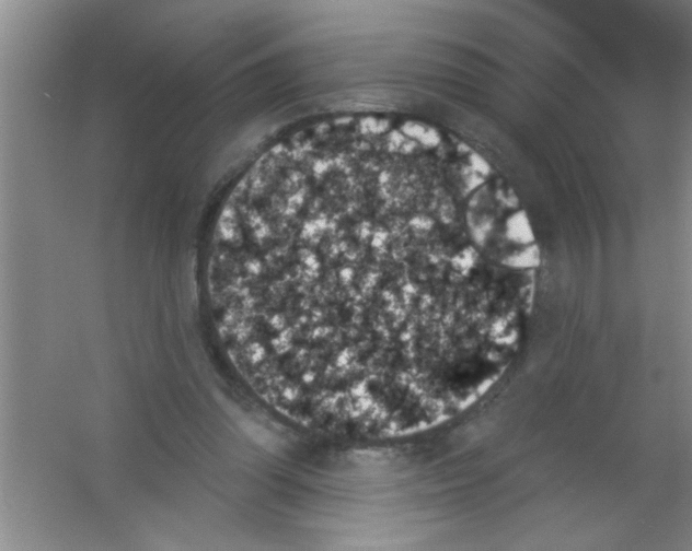 X0000053460302200508112204.png