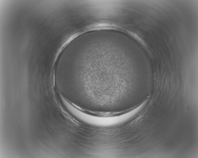 X0000054301413200508042258.png