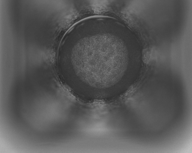 X0000038920471200409291010.png