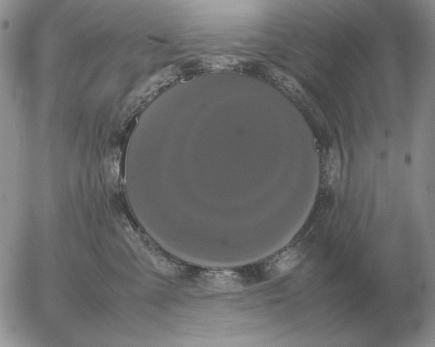 X0000054170427200508101804.png
