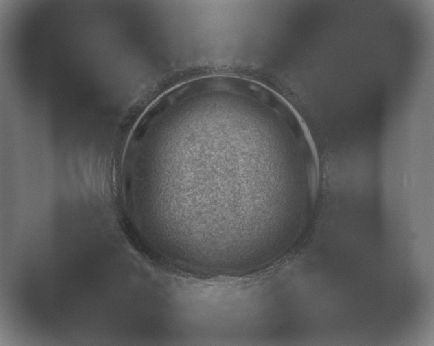 X0000052280024200507132040.png