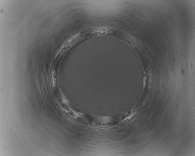 X0000054171394200508101748.png