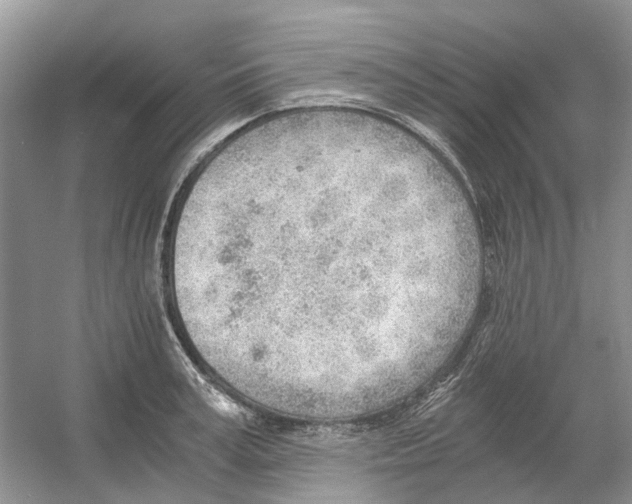 X0000054270995200508261911.png