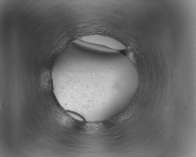 X0000055210480200508301326.png