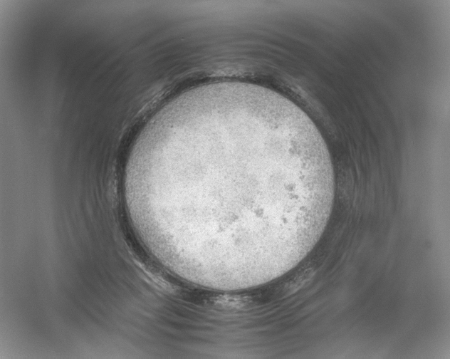 X0000054270261200508261924.png