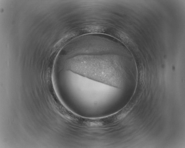 X0000054650165200508091651.png