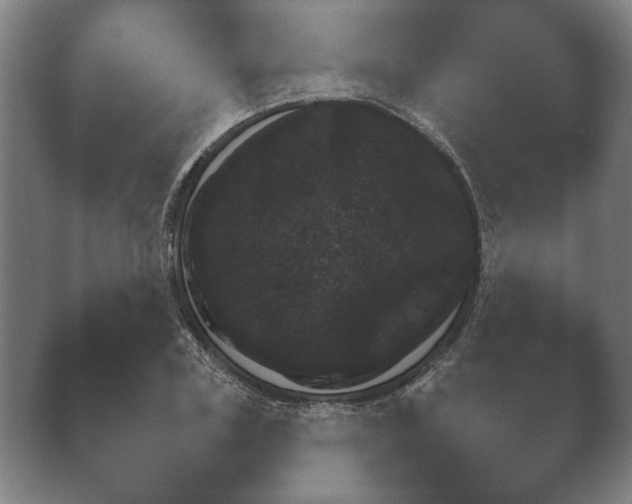 X0000038850835200410131826.png