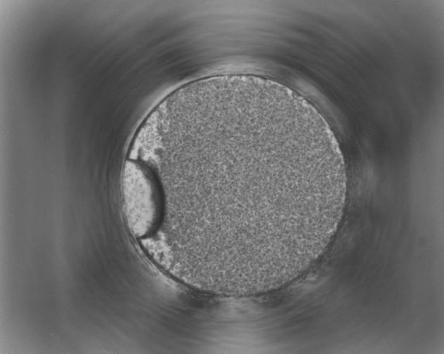 X0000053460852200508112155.png