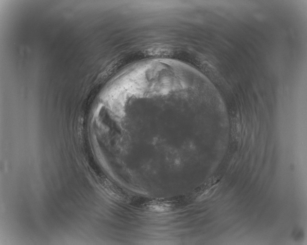 X0000054350263200508190136.png
